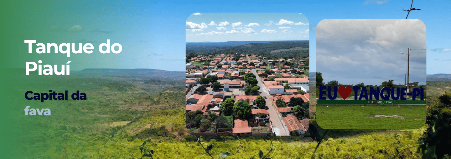 Banner Câmara de Tanque do Piauí